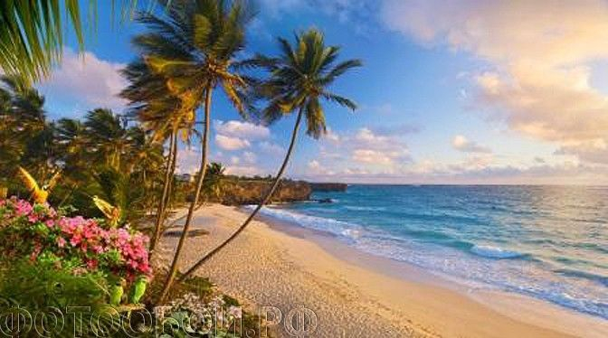 Просто невероятной красоты ФОТООБОИ!!!! Торопимся! Минималка маленькая