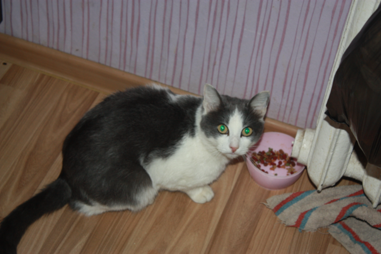 И наш один день!