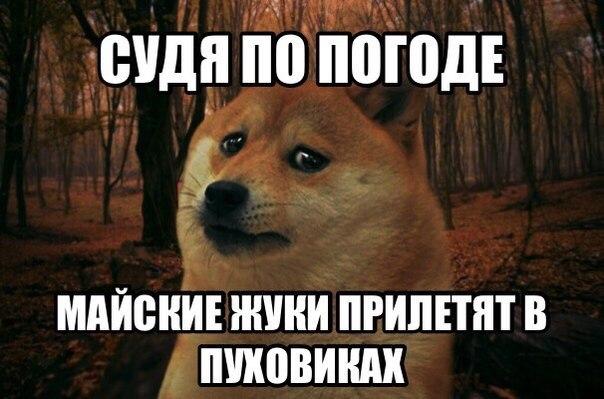 db665c8fc98226cb9bfc9badef21d424.jpg