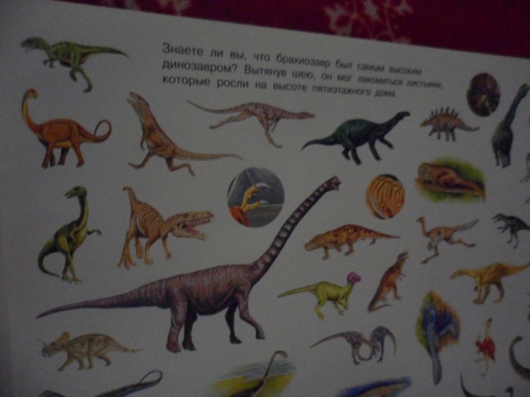 Заказик Озон ноябрь-1