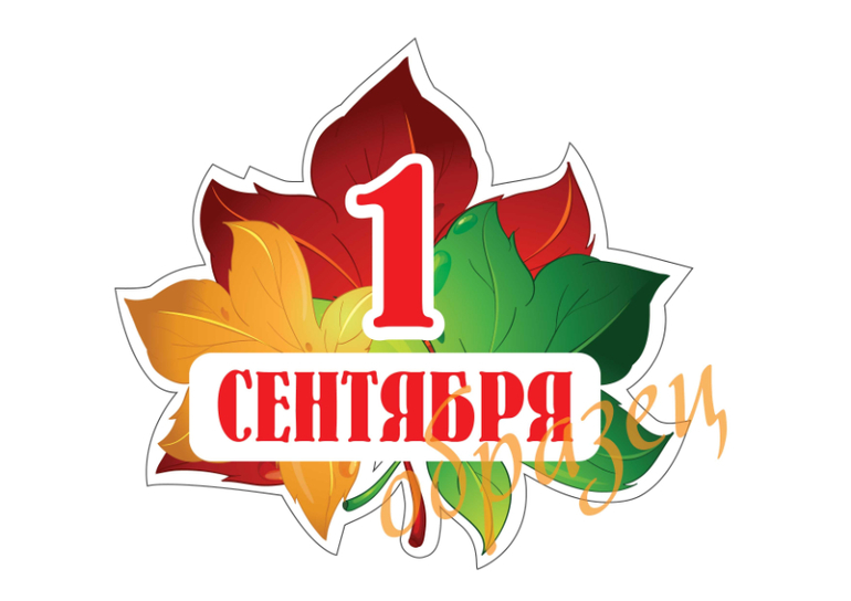 1 день школы фото на память