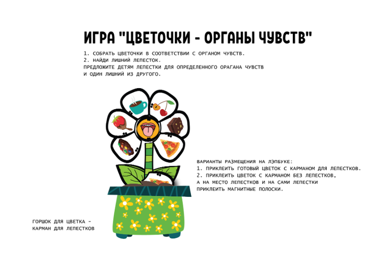 органы чувств дидактическая игра для детей