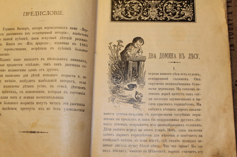 Семейная библиотека.