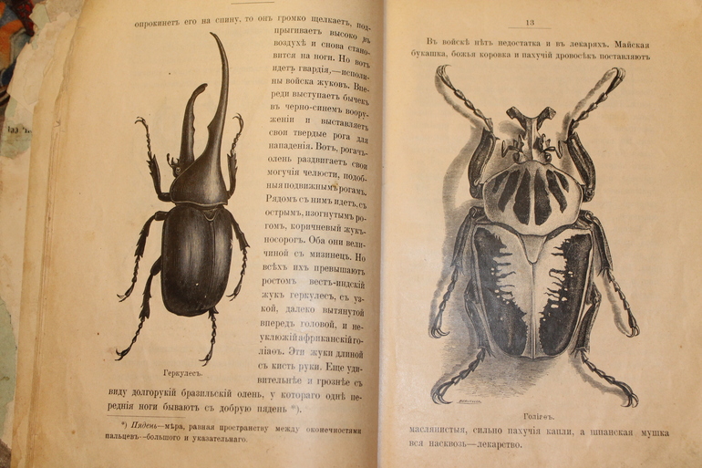 Семейная библиотека.