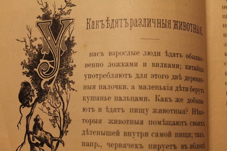 Семейная библиотека.