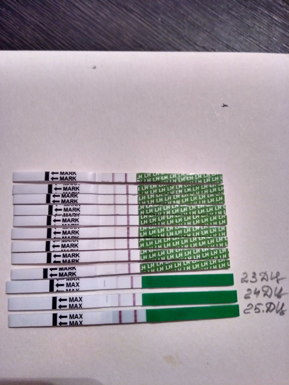 тест на овуляцию. узи на овуляцию на какой. узи мониторинг овуляции. узи на овуляцию на какой. узи на овуляцию на какой.
