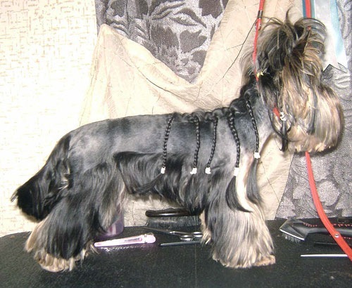 Девочка созрела)))))