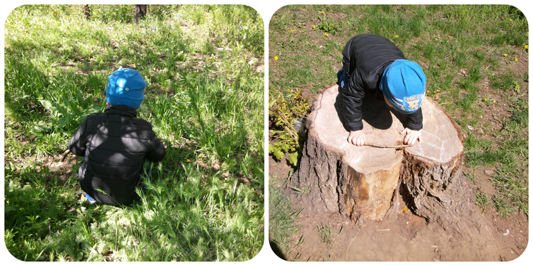 Наше весеннее в 2014. Миру год и 10-11 мес.