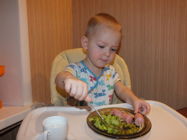 ТН подводный мир и его обитатели.