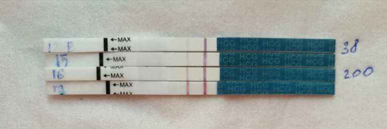 15 16 19. 12 ДПО эвитест динамика. 19 ДПО эвитест. Эви тесты на беременность динамика. 19 ДПО ХГЧ.