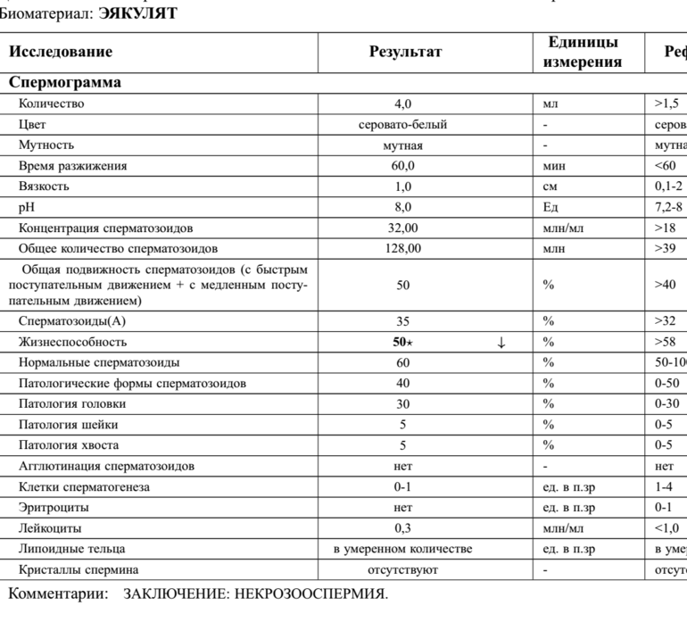 Сдача спермограммы подготовка перед анализами. Спермограмма бланк анализа пустой. Спермограмма бланк анализа. Пустой бланк спермограммы. Бланк на спермограмму.