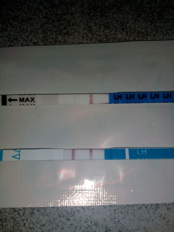 19 дц тест. 20 дц тест. Тест на овуляцию я родился. Овуляция 20 дней. Тест на овуляцию что такое дц.