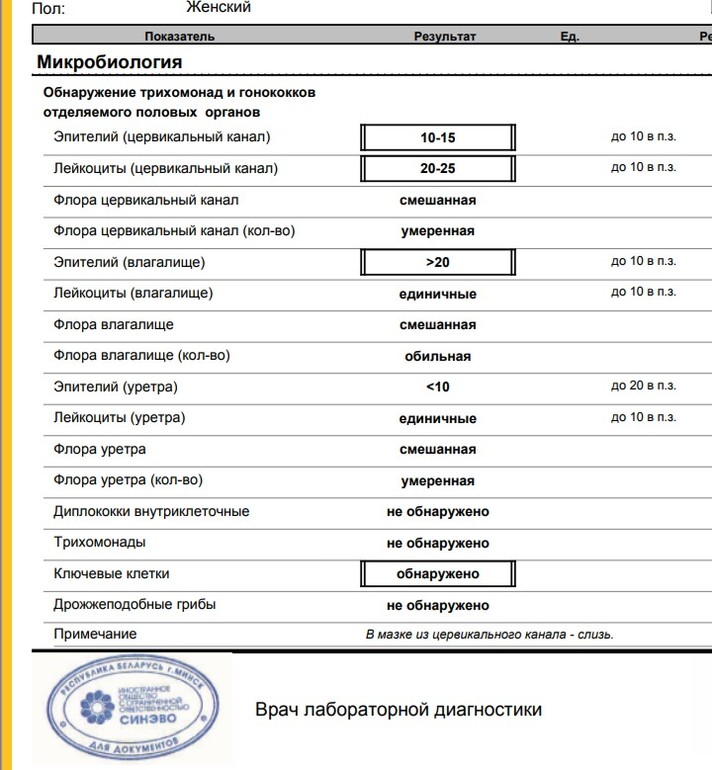Цервикальный канал картинка