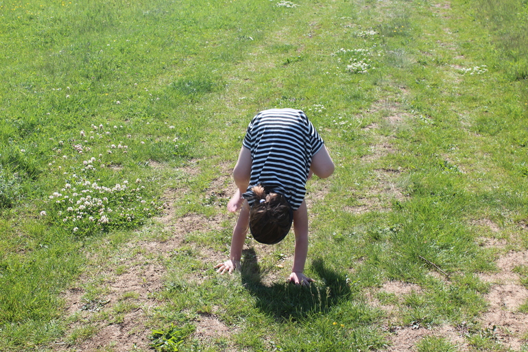 Сокровища пиратов