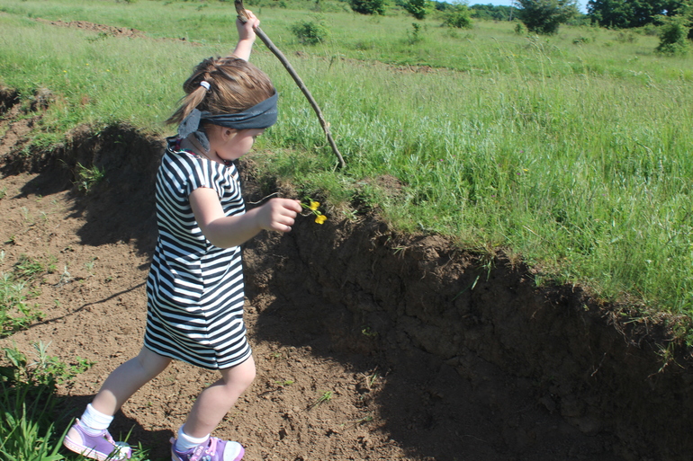 Сокровища пиратов