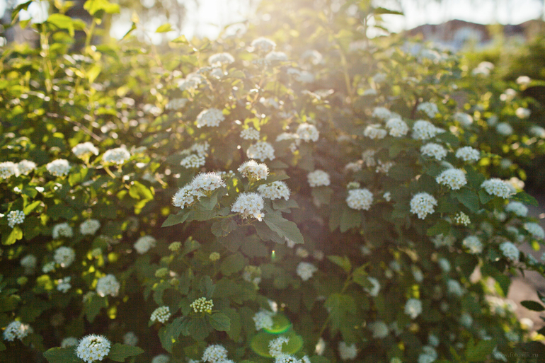 Девичник. полная серия)