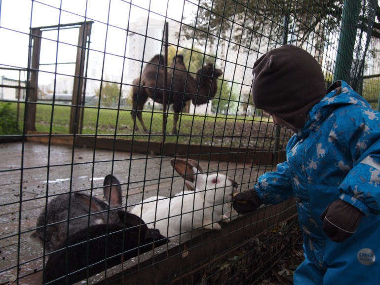 Осень (много фото)