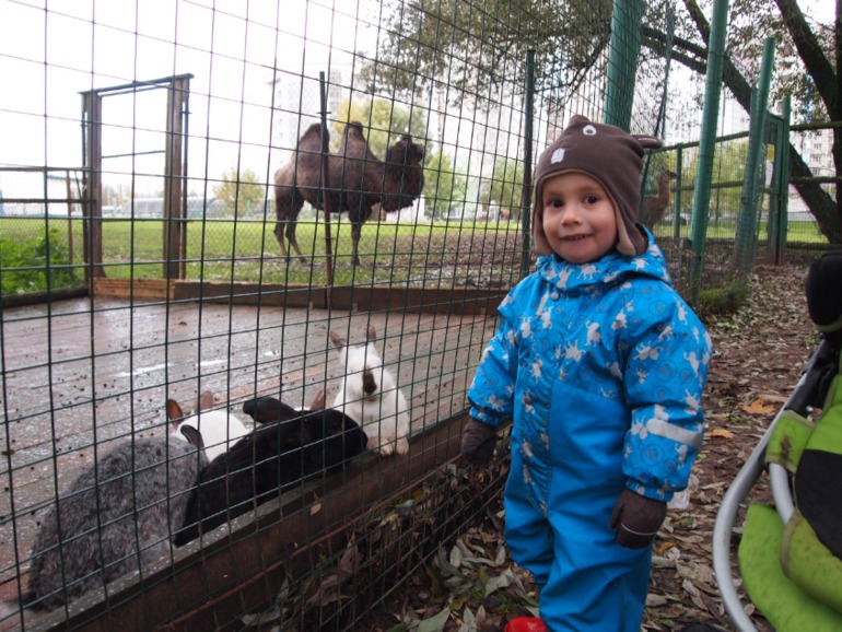 Осень (много фото)