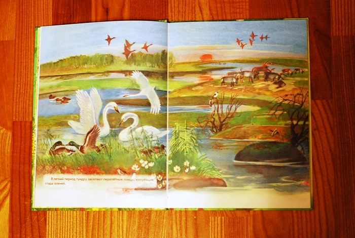 Книга о животных и маленькие географические атласы.