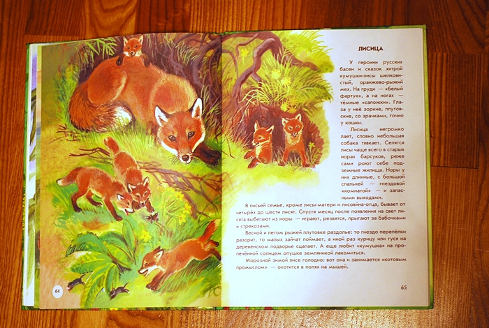 Книга о животных и маленькие географические атласы.