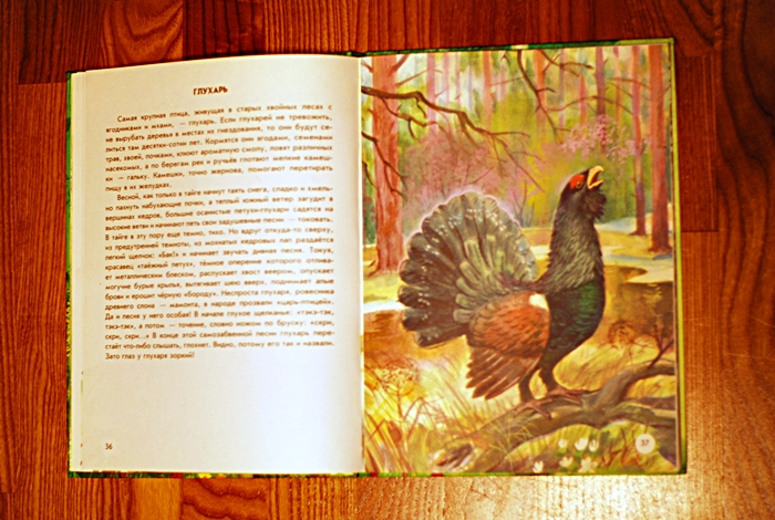 Книга о животных и маленькие географические атласы.