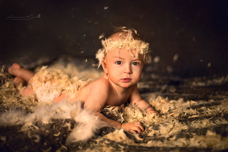 Мои птенчики