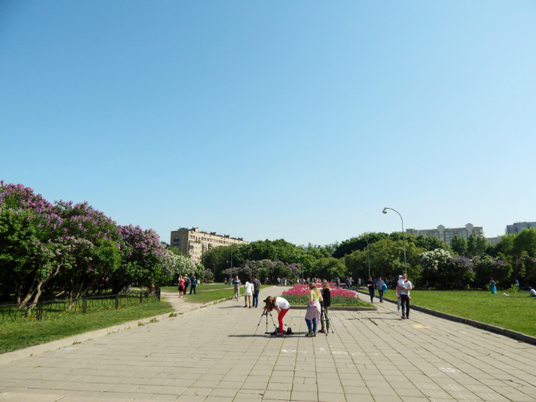 Сиреневая встреча в Сиреневом саду!