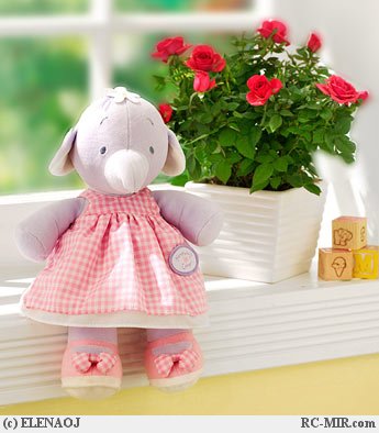 904dc0bd5698d32c89eedfc3d8e09a86.jpg