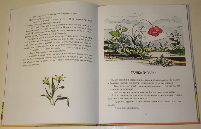 Немножко про новинки ))