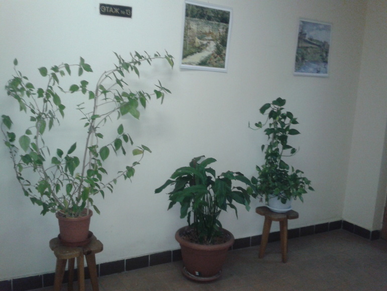 Украсили лестничную клетку.