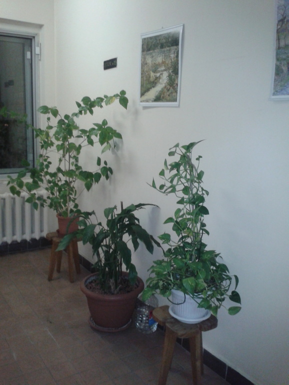 Украсили лестничную клетку.