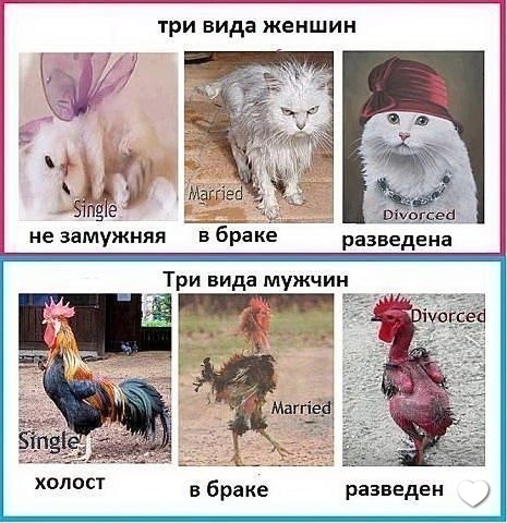 5e25649a9550aecbf141a73b45bb1862.jpg