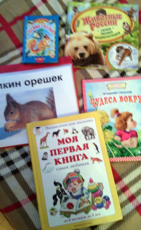 ФМ Лесные животные-№4 волк и лиса.