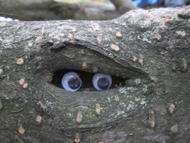 На прогулке.