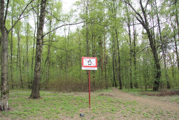 Отпраздновали ДР мужа