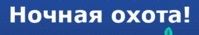 Когда будет очередная Ночная охота))???