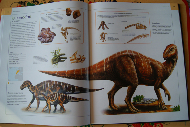 Иллюстрированный атлас Динозавры (Махаон)