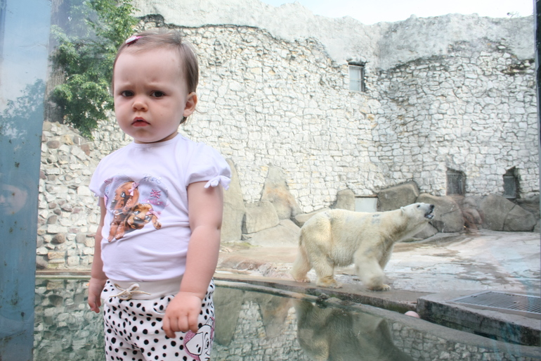 ФМ ТН Арктика и Антарктика