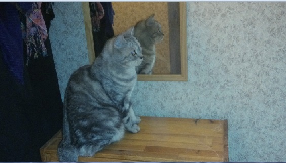 Взлет 72 День 11-14