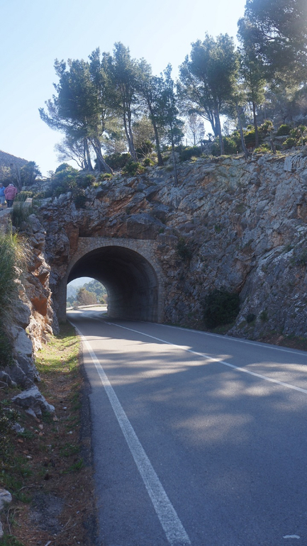 ТРАНСФЕР в Испании (Майорка/ MALLORCA)