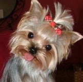 ТУТ ВСЕМ БОЛЬШОЕ СПАСИБО ЗА ОБМЕН!!! БУДУ РАДА МЕНЯТЬСЯ ЕЩЕ)))