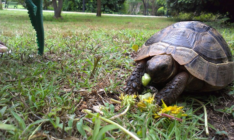 Наша первая заграничная поездка с семьей!