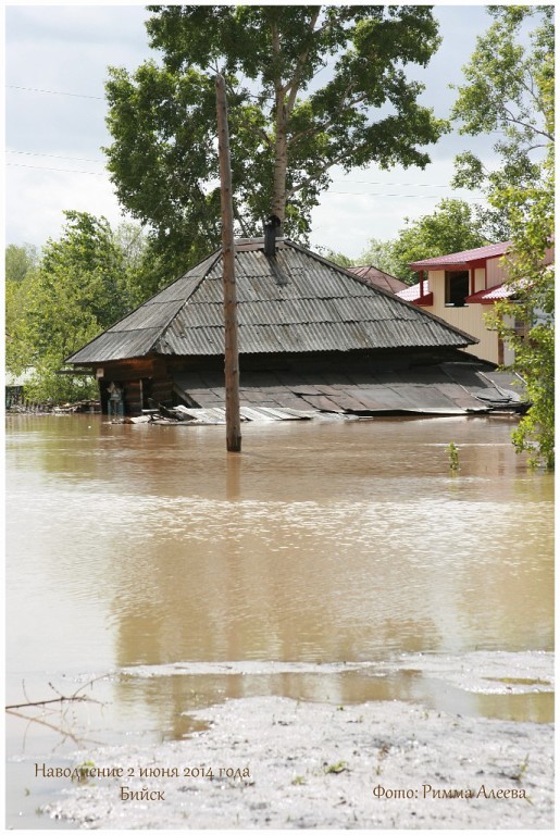 некоторые фото