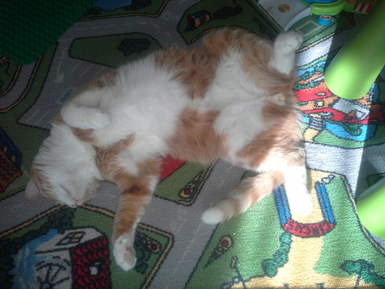 мое сегодняшнее...