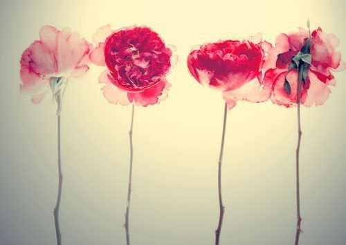 Как Вы оцениваете интеллект?