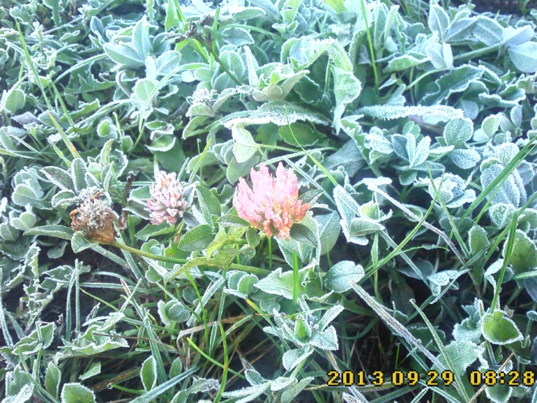 Воскресенье.