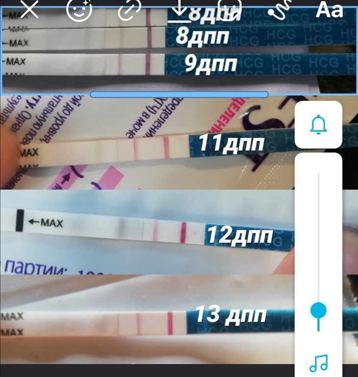 Тест на 11 дпп пятидневок фото