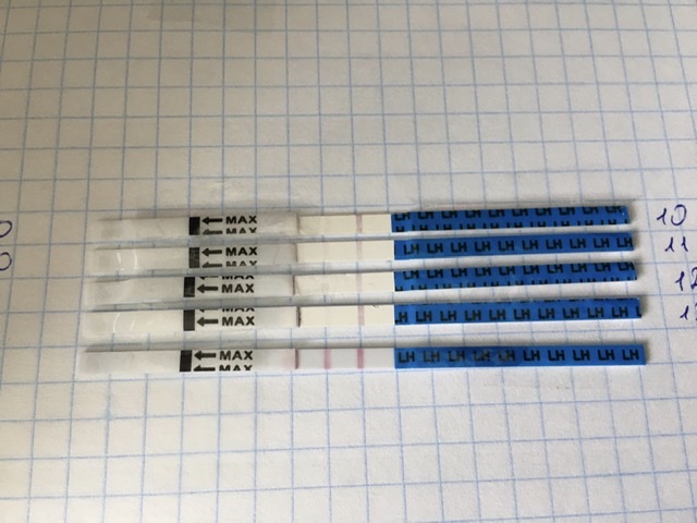 после овуляции подташнивает. болит низ живота и груди после овуляции. овуляция болит низ живота форум. овуляция болит низ живота форум. тянет живот при овуляции.