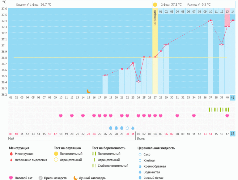 Ура! Мой график беременный! - Графики базальной температуры
