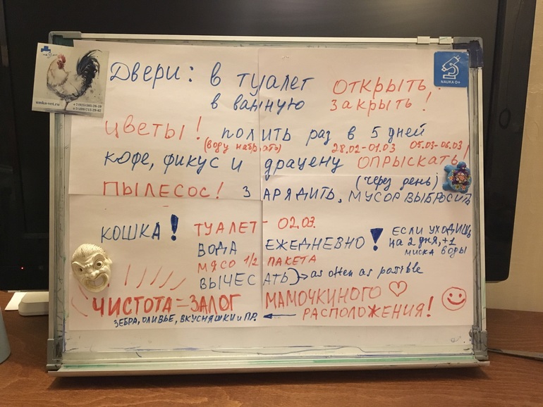 84.790 Плакат А2 Ты наш герой! С возвращением домой! (муж)